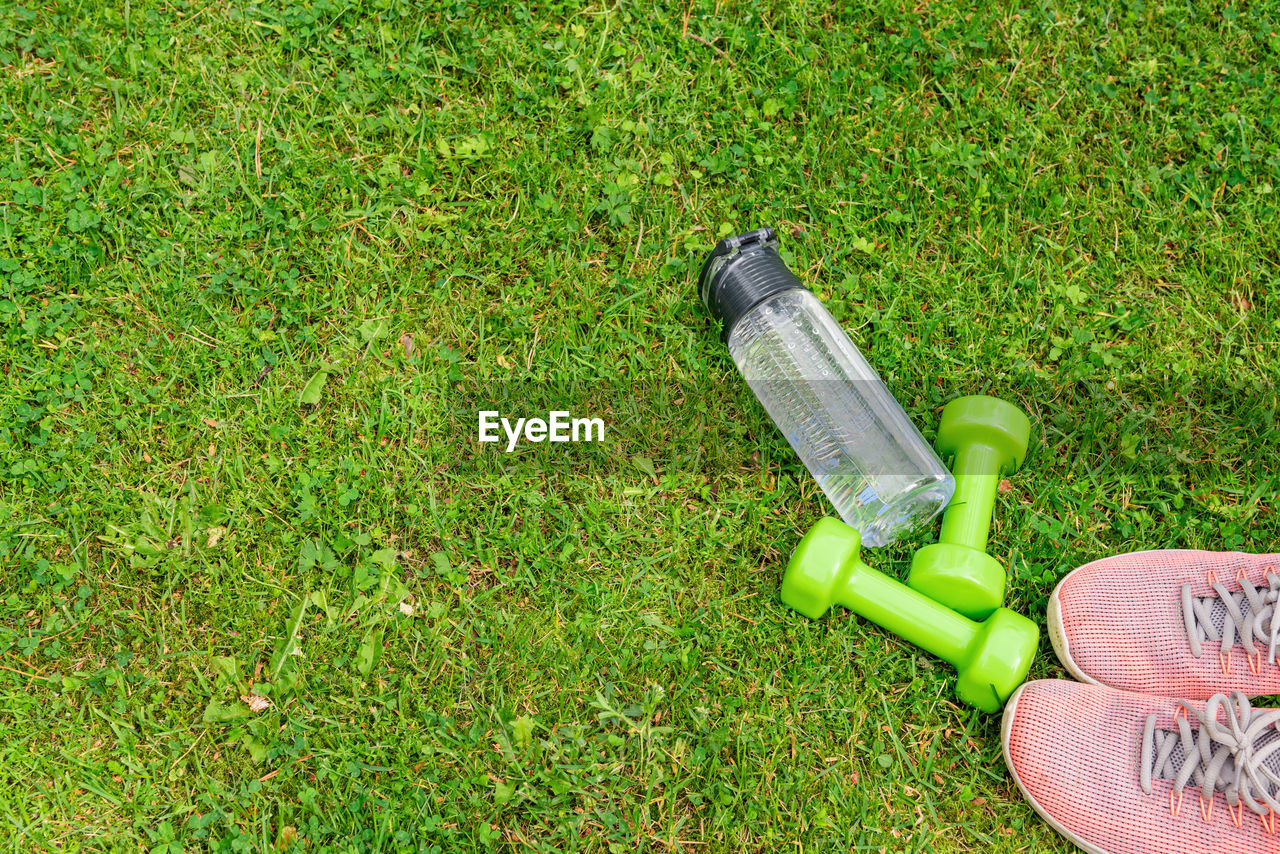 Ladie's dumbbells and sneakers on the green grass background