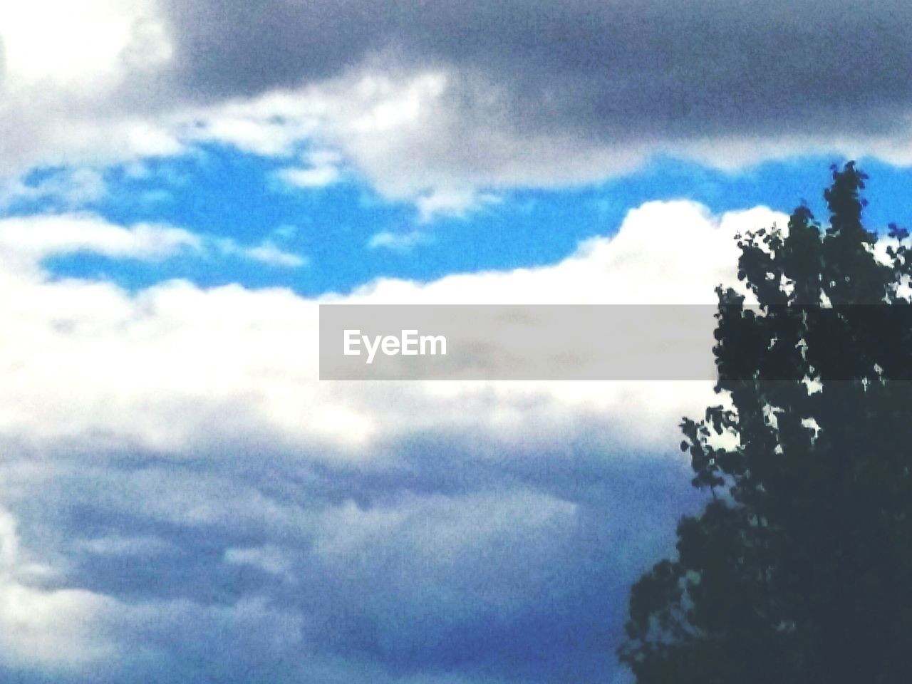 LOW ANGLE VIEW OF TREES AGAINST CLOUDY SKY