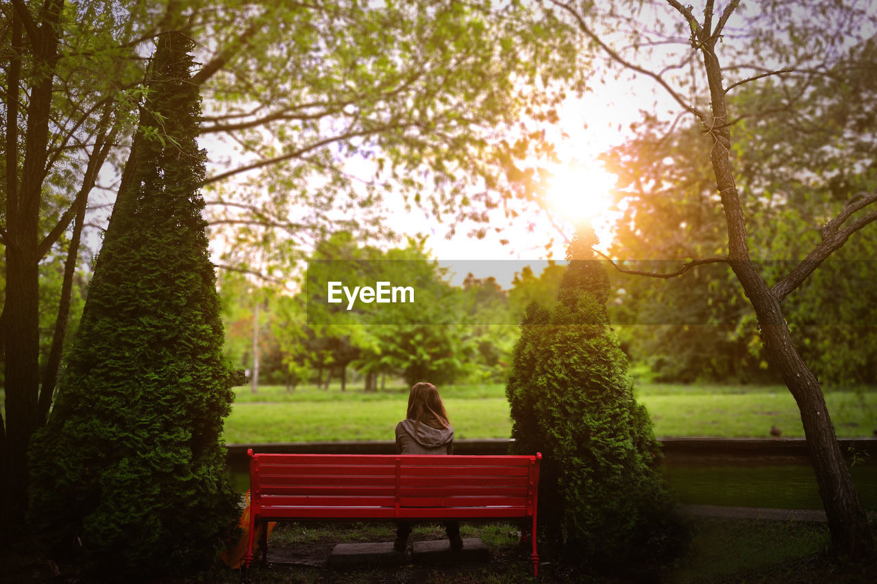Rear view of woman sitting on bench at public park