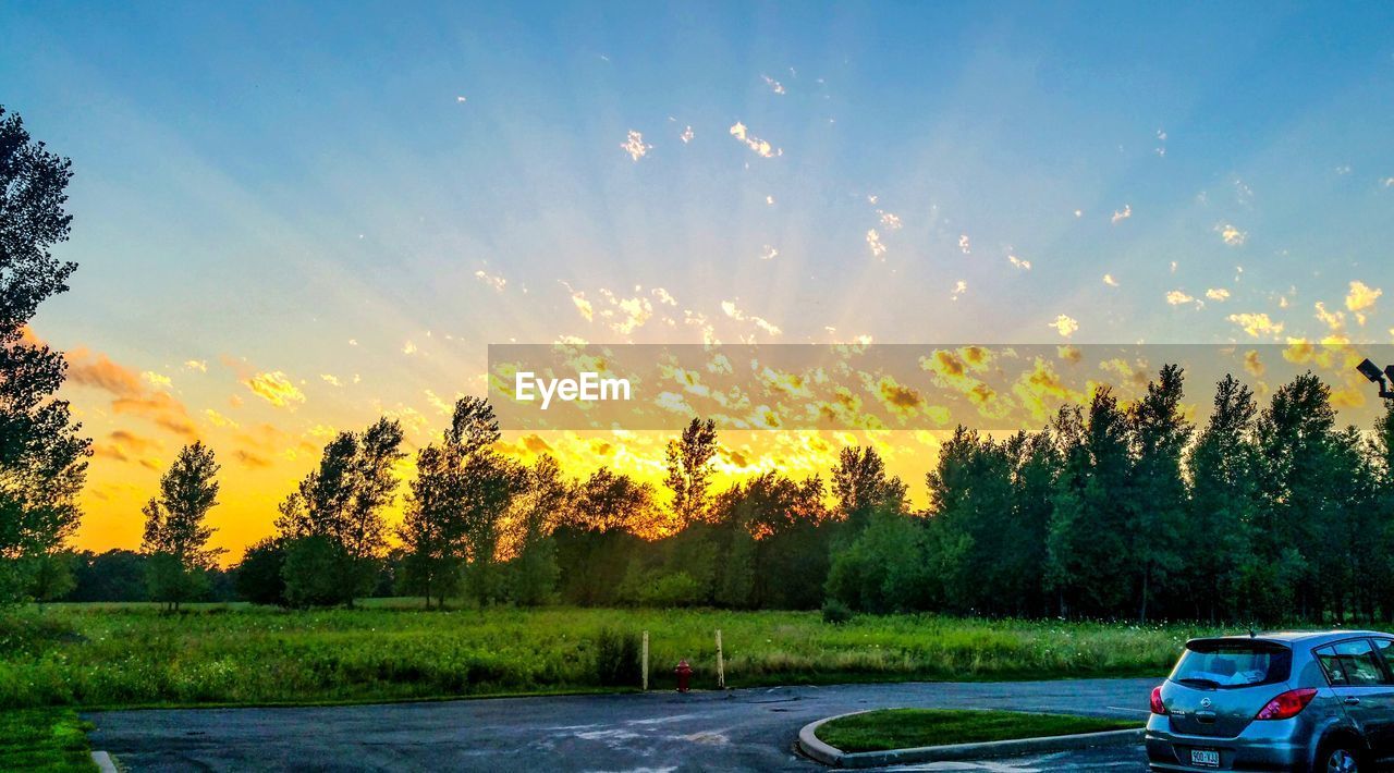 CARS ON GRASS AGAINST SKY AT SUNSET