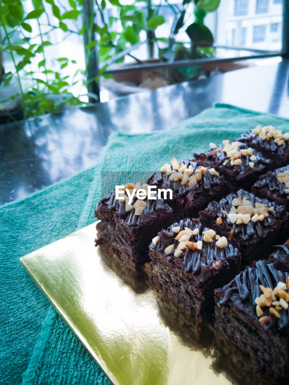 Chocolate cake brownie squares drizzled with chocolate nutella and walnuts.