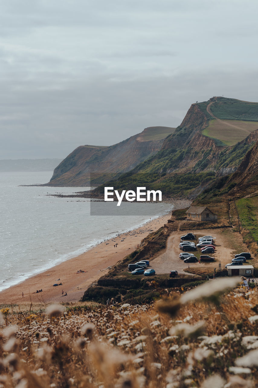 View over the flowers of eype beach, a secluded and unspoiled beach on dorsets jurassic coast, uk.