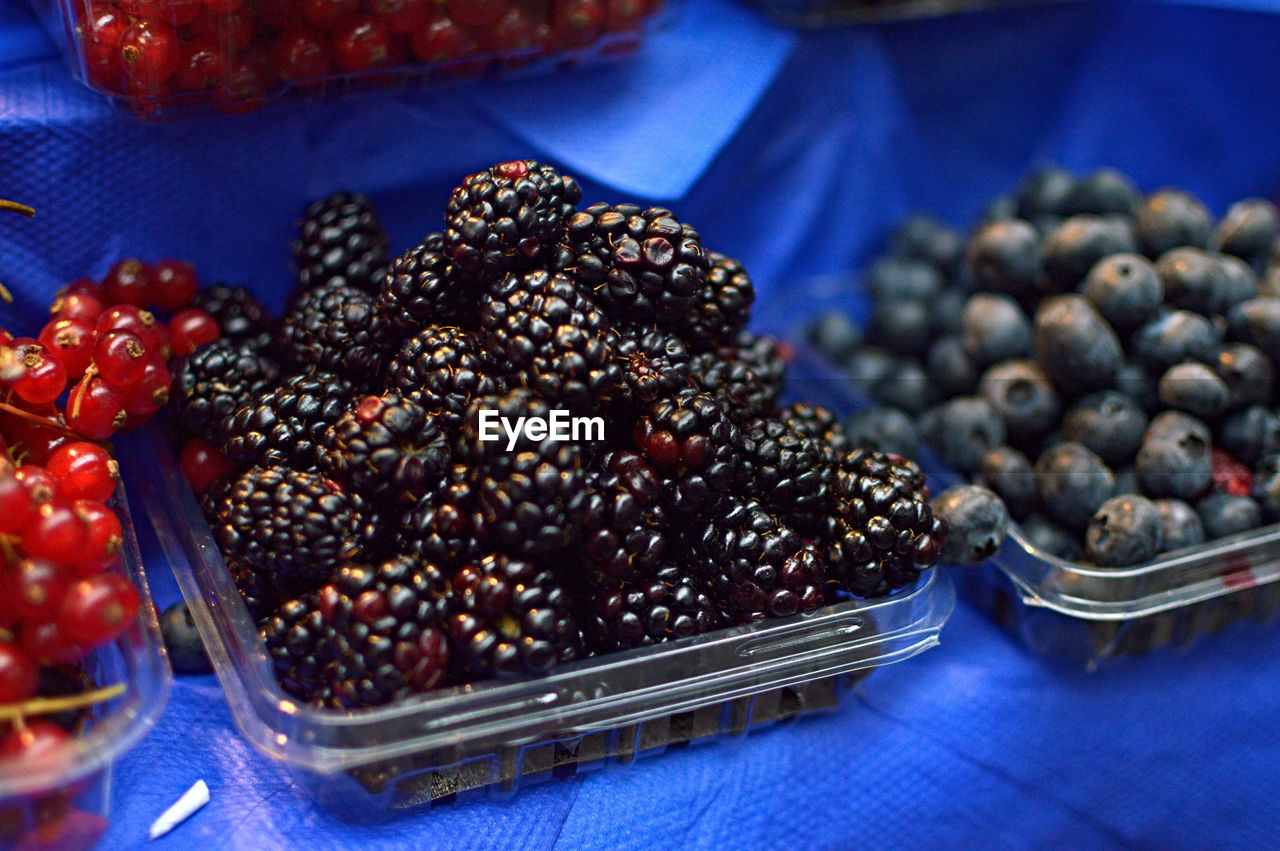 CLOSE-UP OF GRAPES IN PLATE