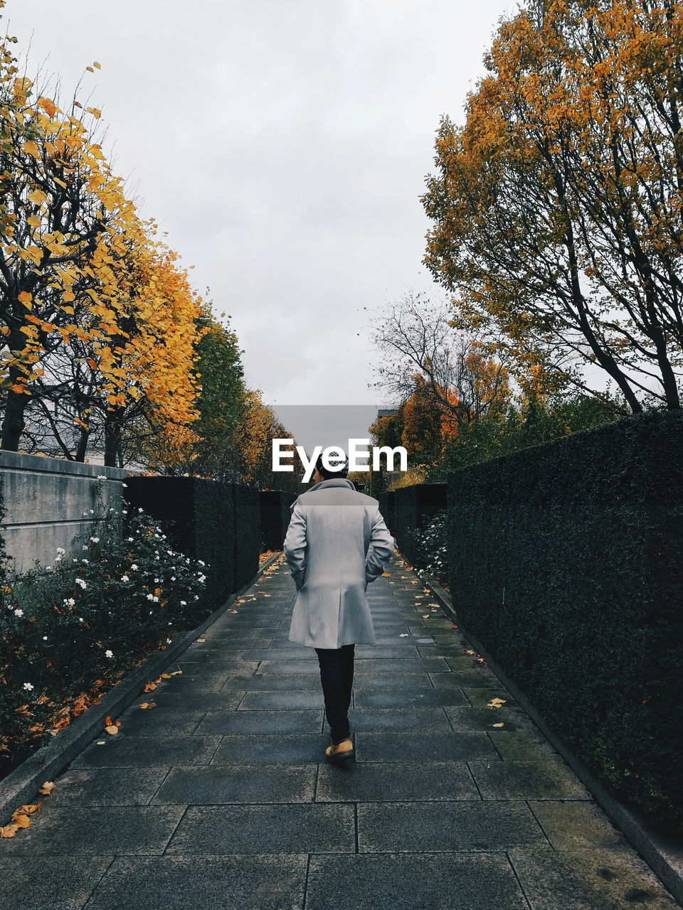 REAR VIEW OF WOMAN WALKING ON ROAD AMIDST AUTUMN TREES