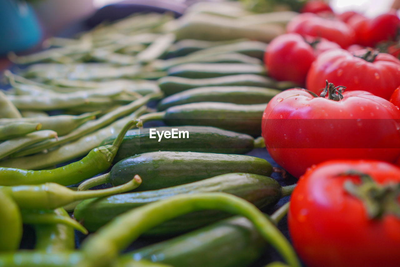 CLOSE-UP OF TOMATOES FOR SALE