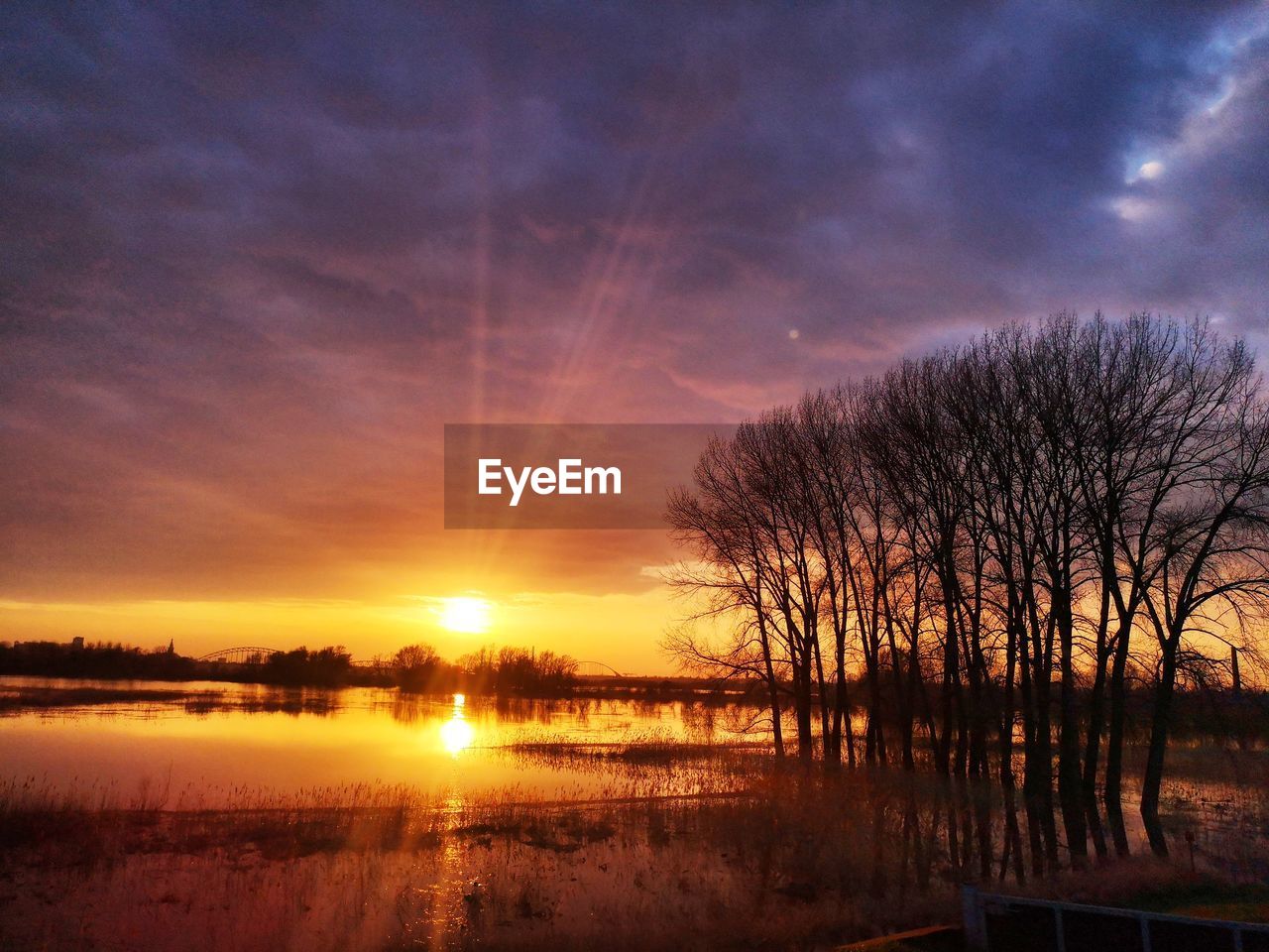 SCENIC VIEW OF SUNSET OVER SILHOUETTE TREES AGAINST SKY