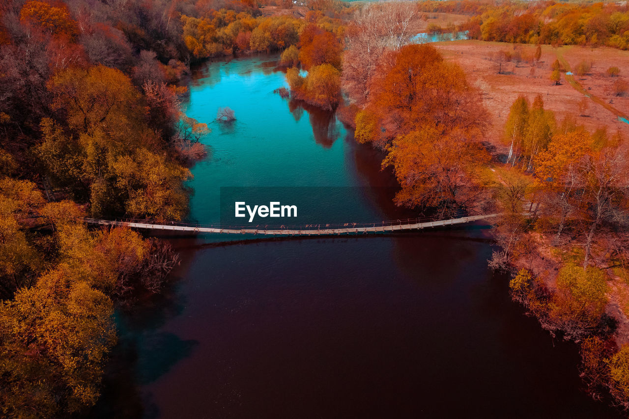 Scenic view of lake in forest during autumn