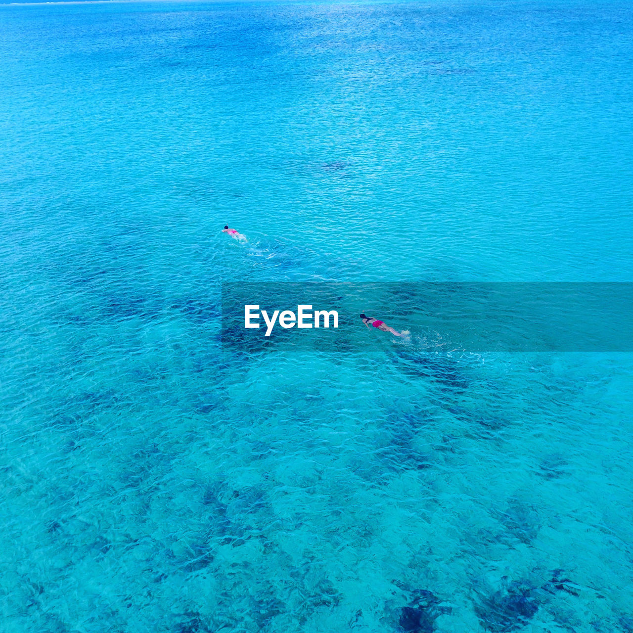 High angle view of people swimming in sea