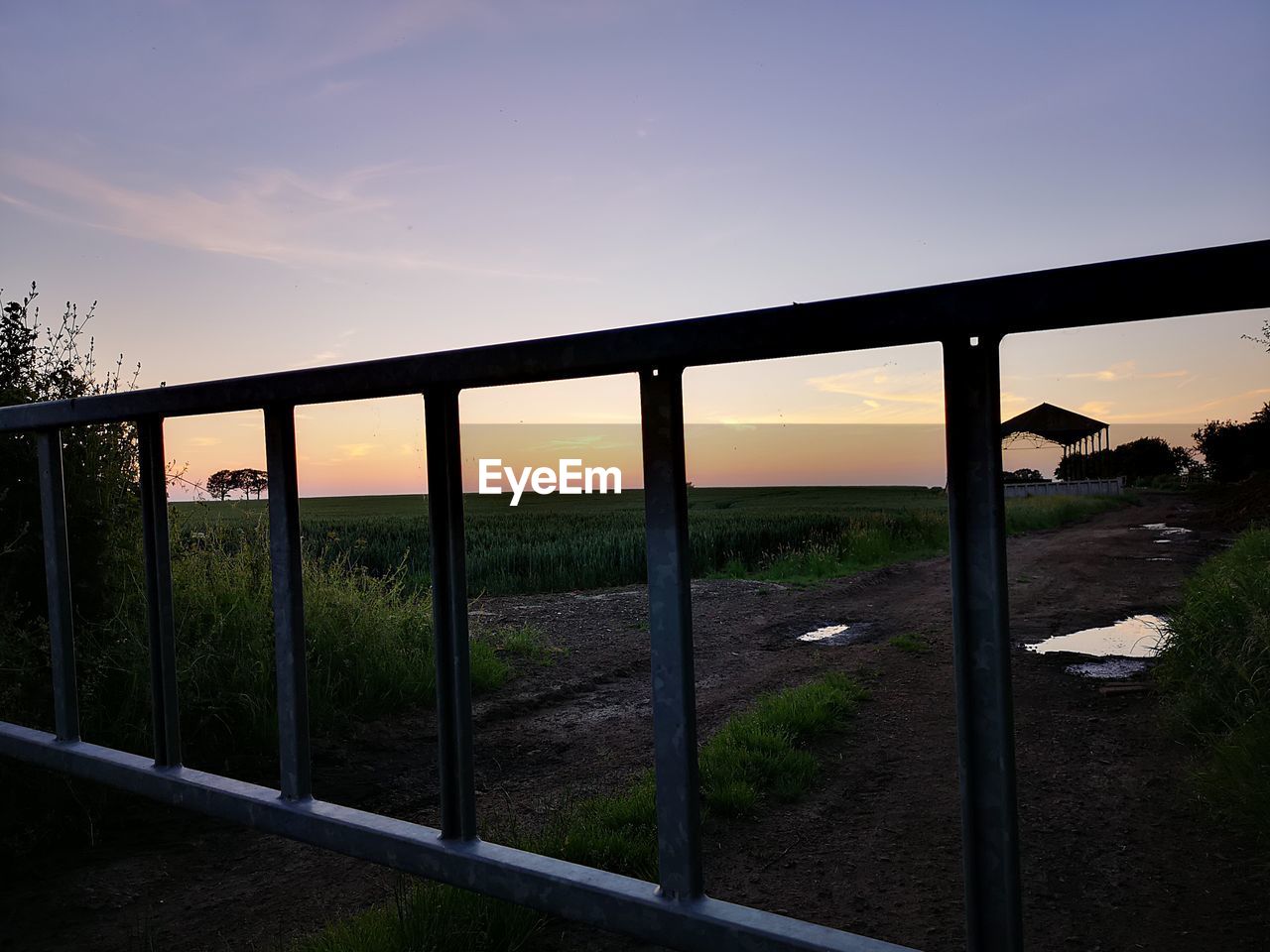 SCENIC VIEW OF FIELD DURING SUNSET