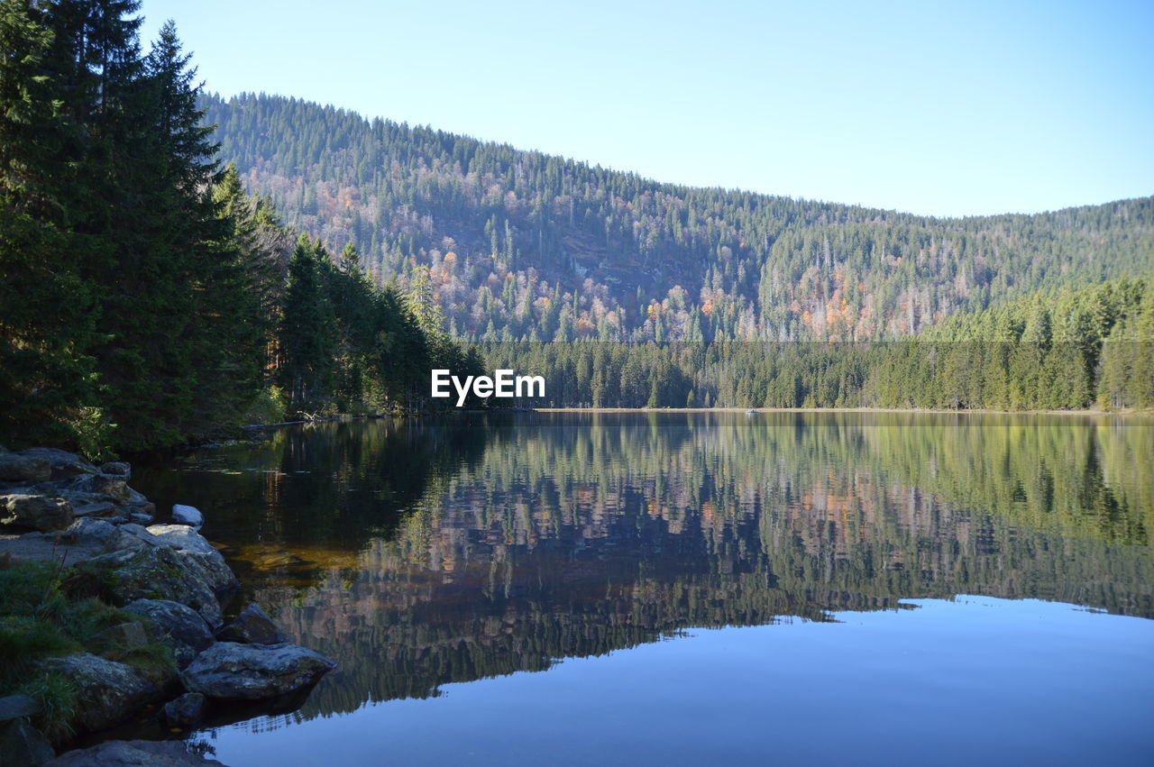 Reflection of trees in lake against sky