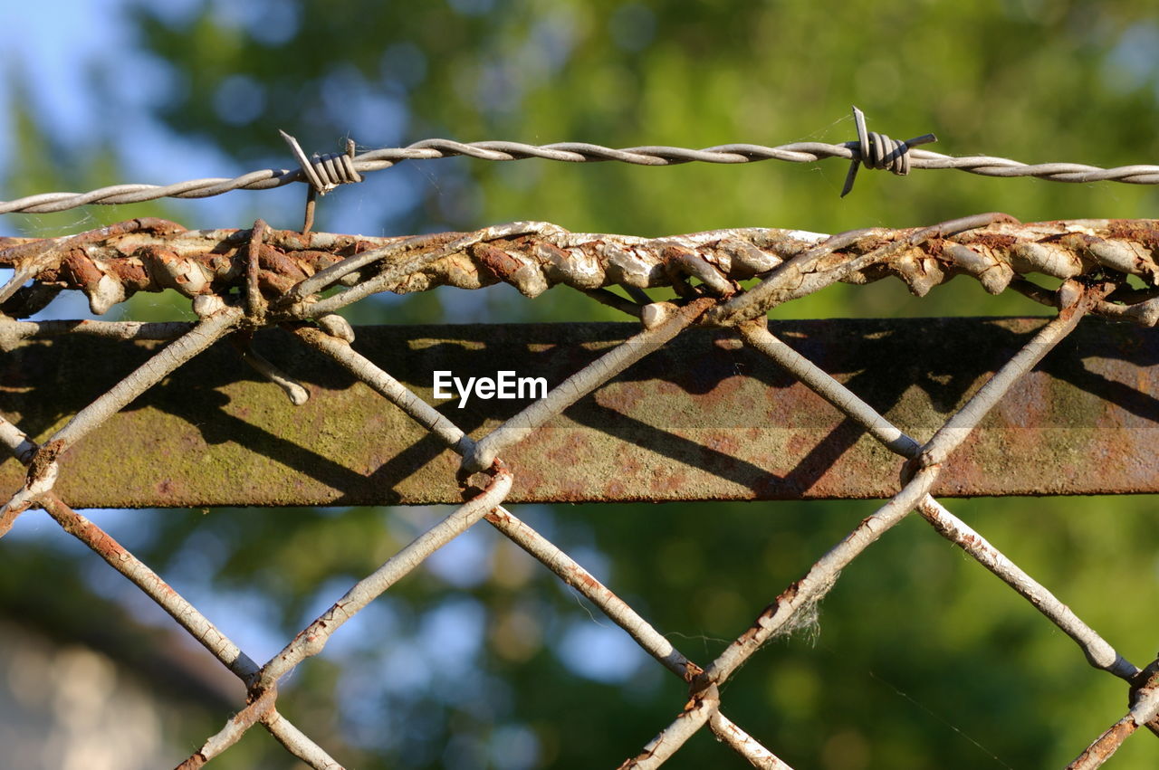 Close-up of chainlink fence against trees