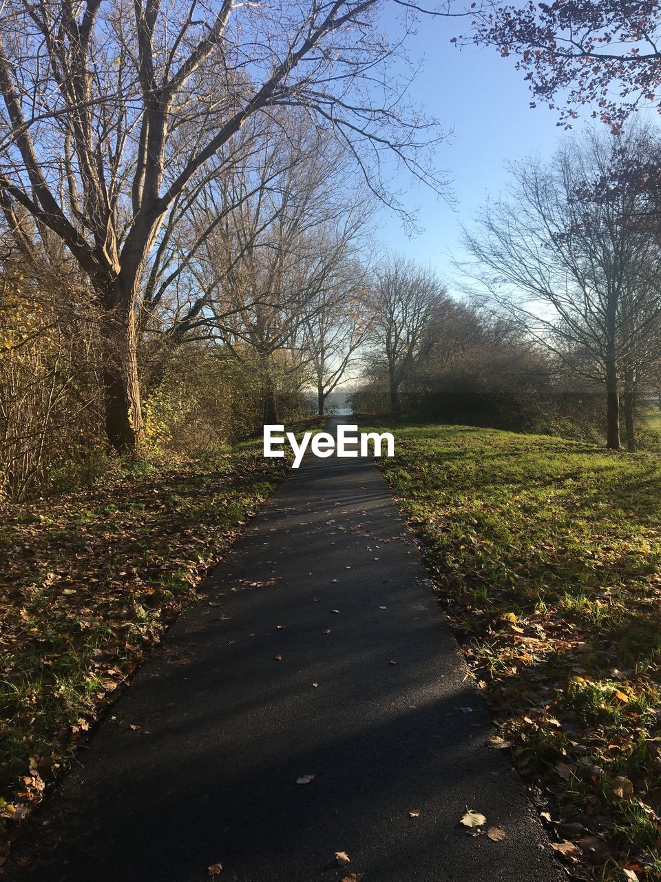 ROAD AMIDST TREES AND PLANTS ON FIELD