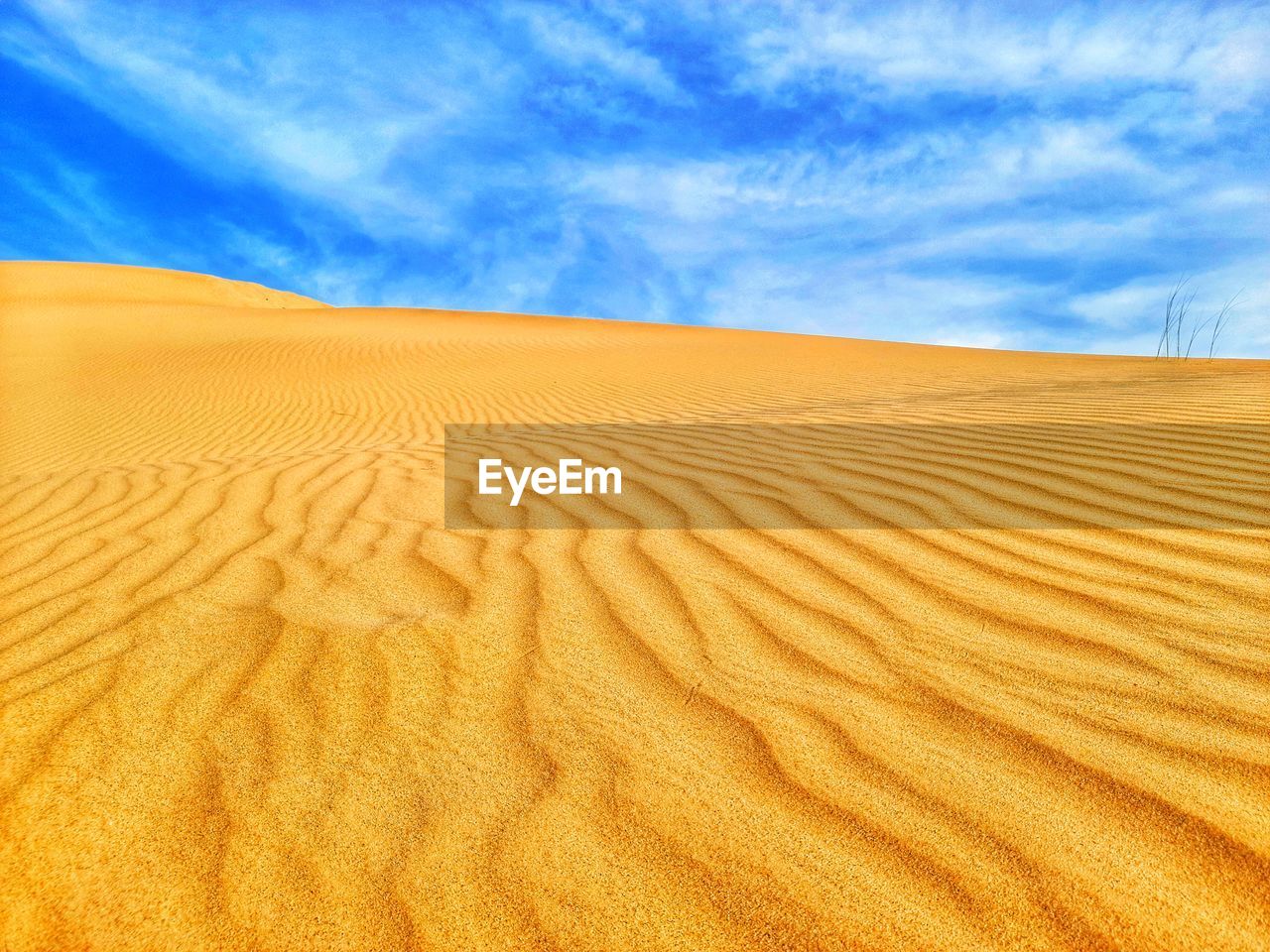 Sand dunes in desert against sky