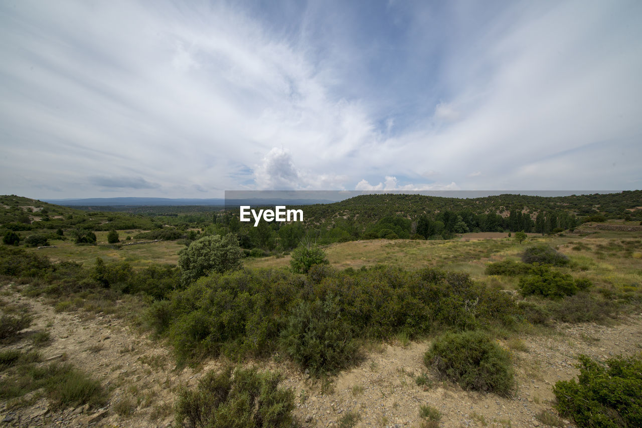 SCENIC VIEW OF LAND AND TREES AGAINST SKY