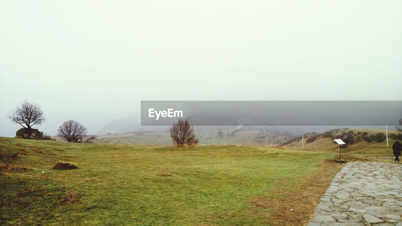 environment, plant, hill, landscape, scenics - nature, morning, sky, grass, nature, beauty in nature, fog, tree, rural area, tranquility, tranquil scene, land, no people, non-urban scene, footpath, day, meadow, field, outdoors, rural scene, travel destinations, travel, green, mist, idyllic, grassland, plateau, plain, remote, tourism, copy space