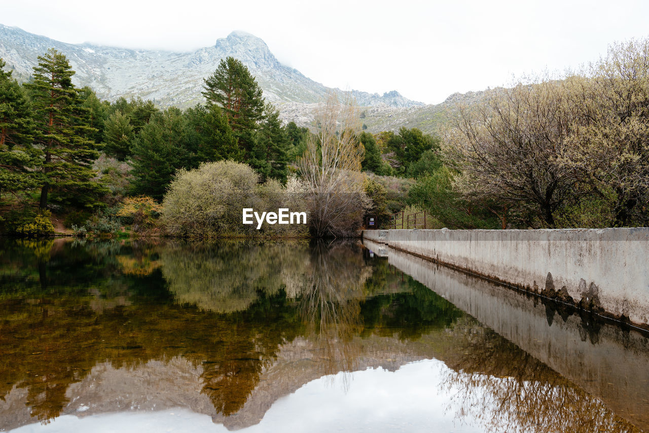 REFLECTION OF TREES ON LAKE AGAINST SKY