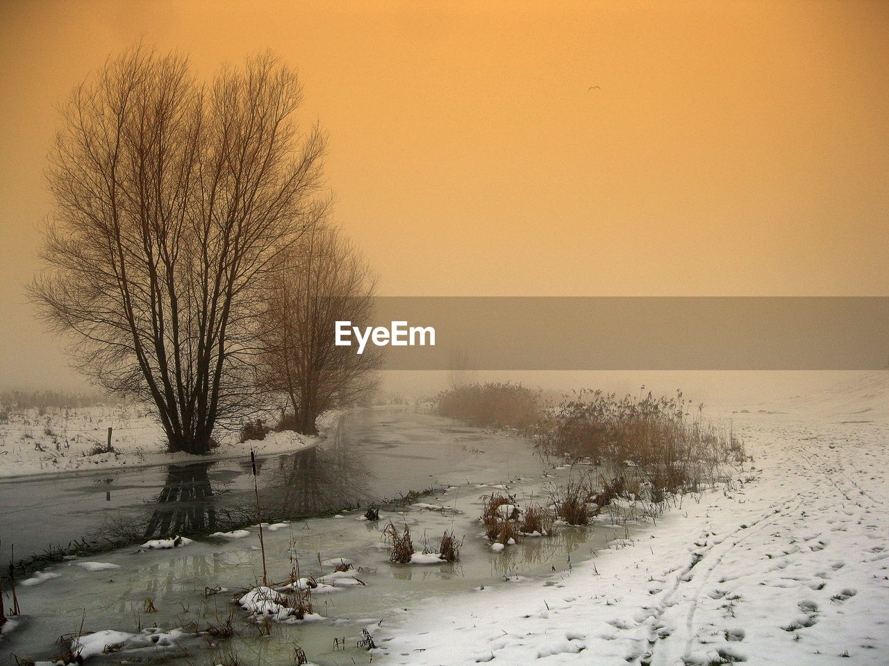 Bare tree on snow covered field against clear orange sky
