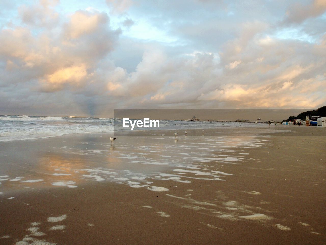 Scenic view of beach at sunset