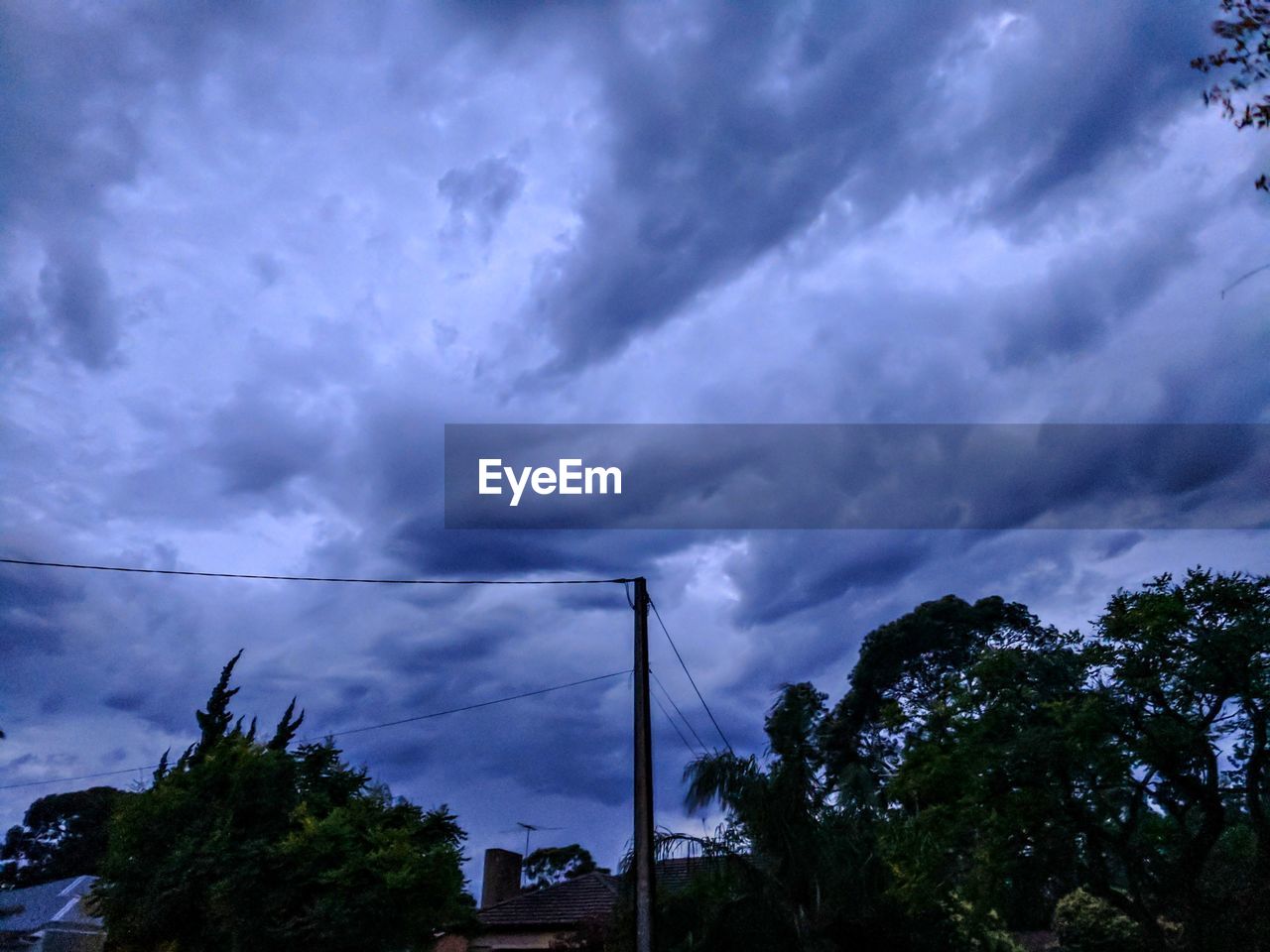 LOW ANGLE VIEW OF STORM CLOUDS OVER TREES