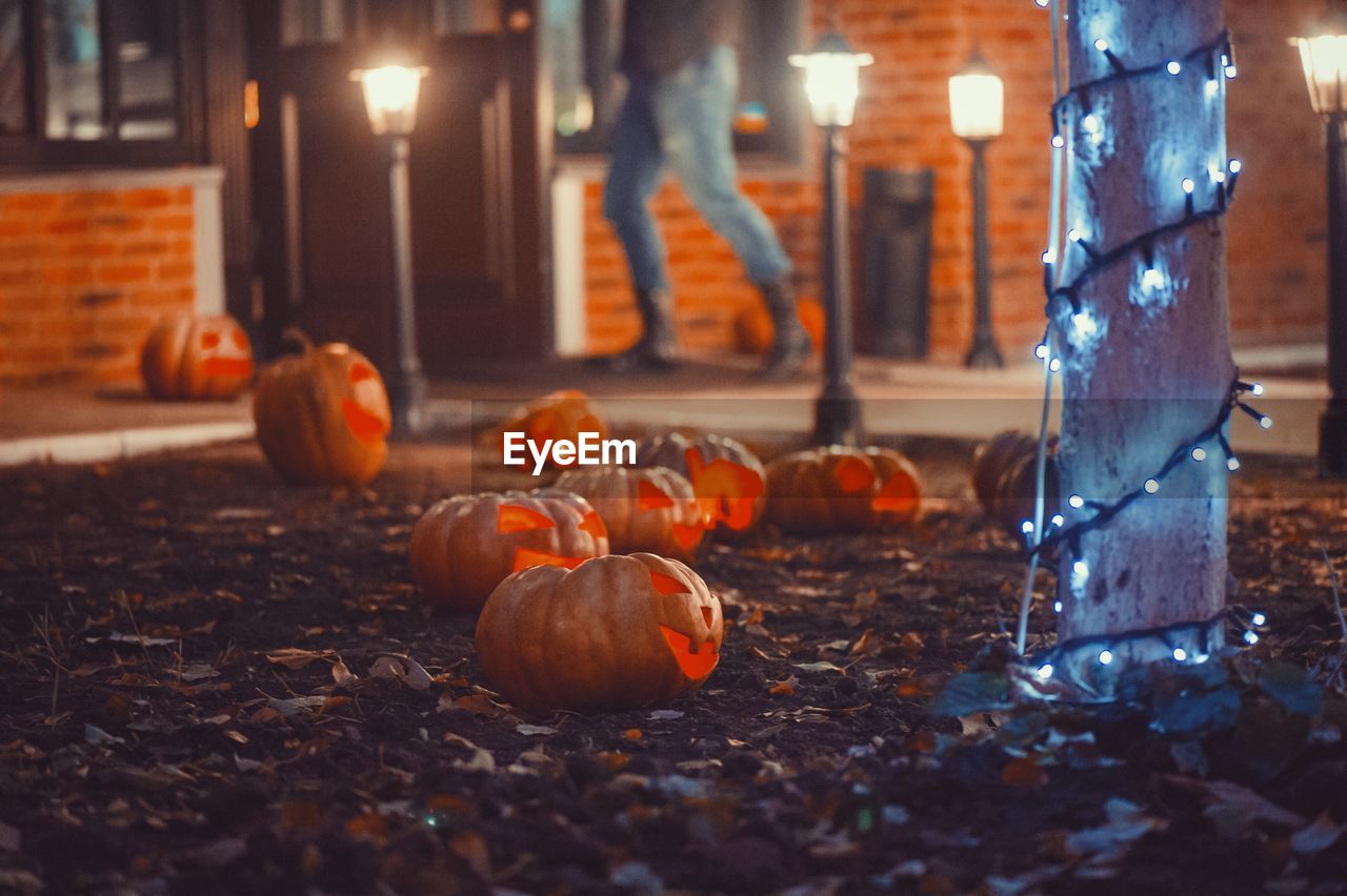 Close-up of pumpkins during autumn