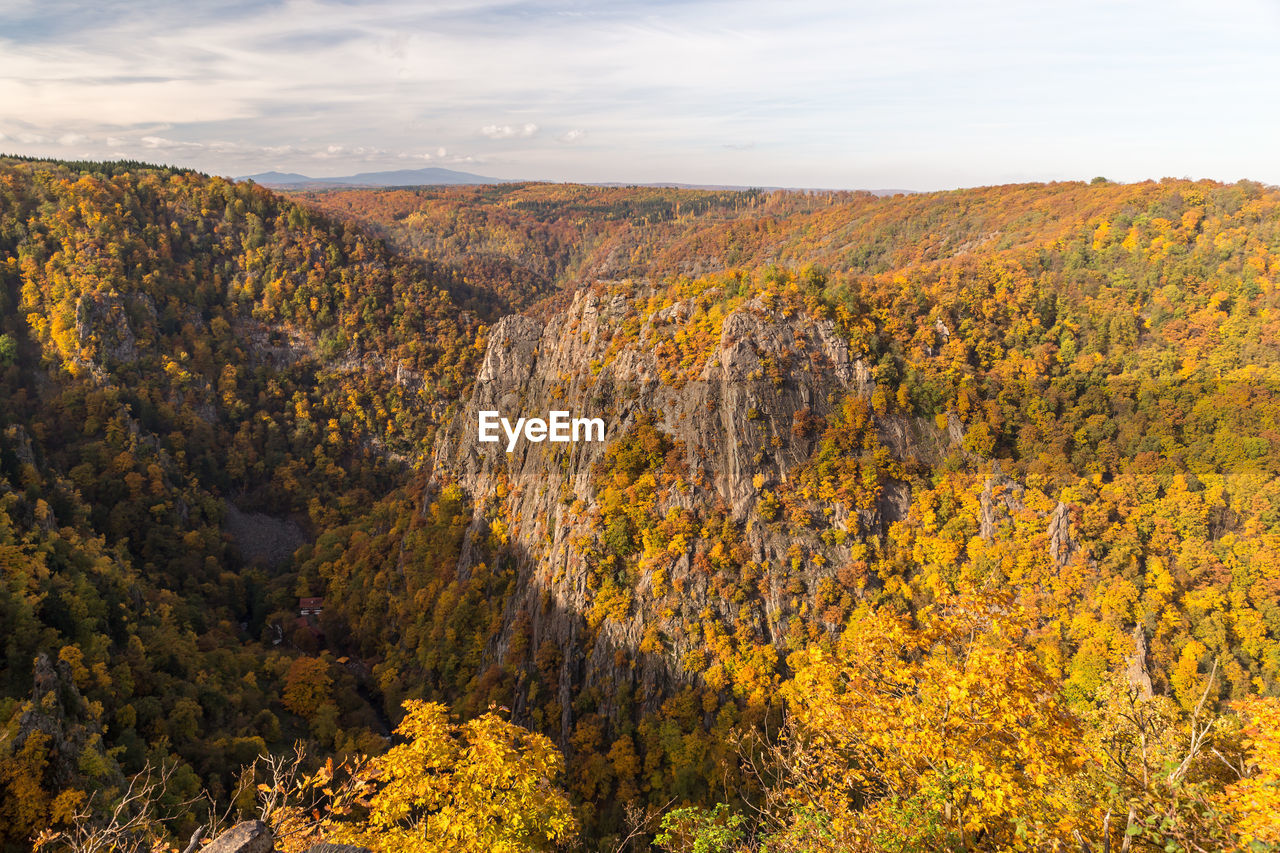 Scenic view of autumn trees against sky