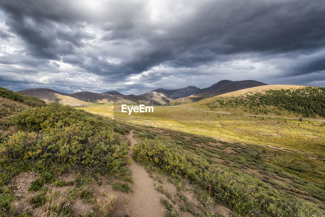 Mount evans wilderness in colorado