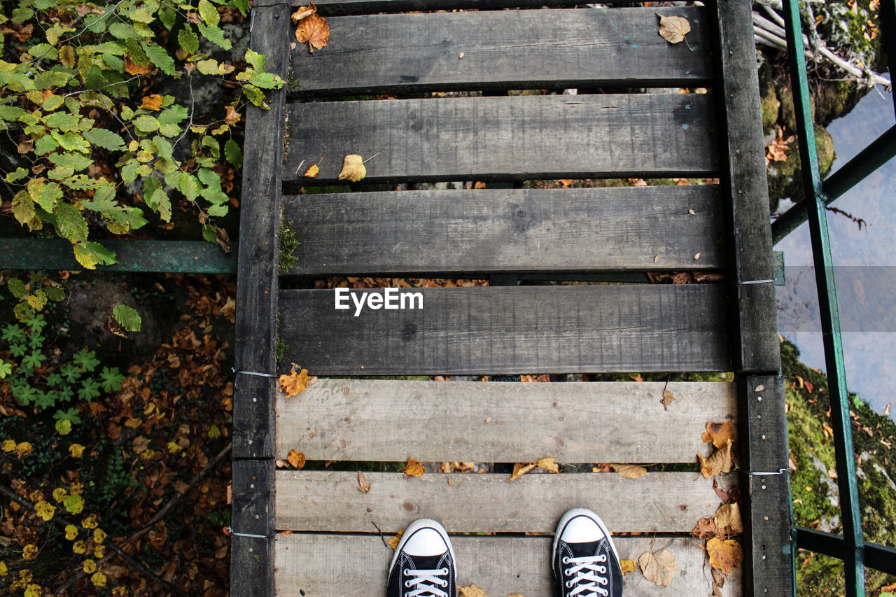 Low section of person standing on boardwalk during autumn