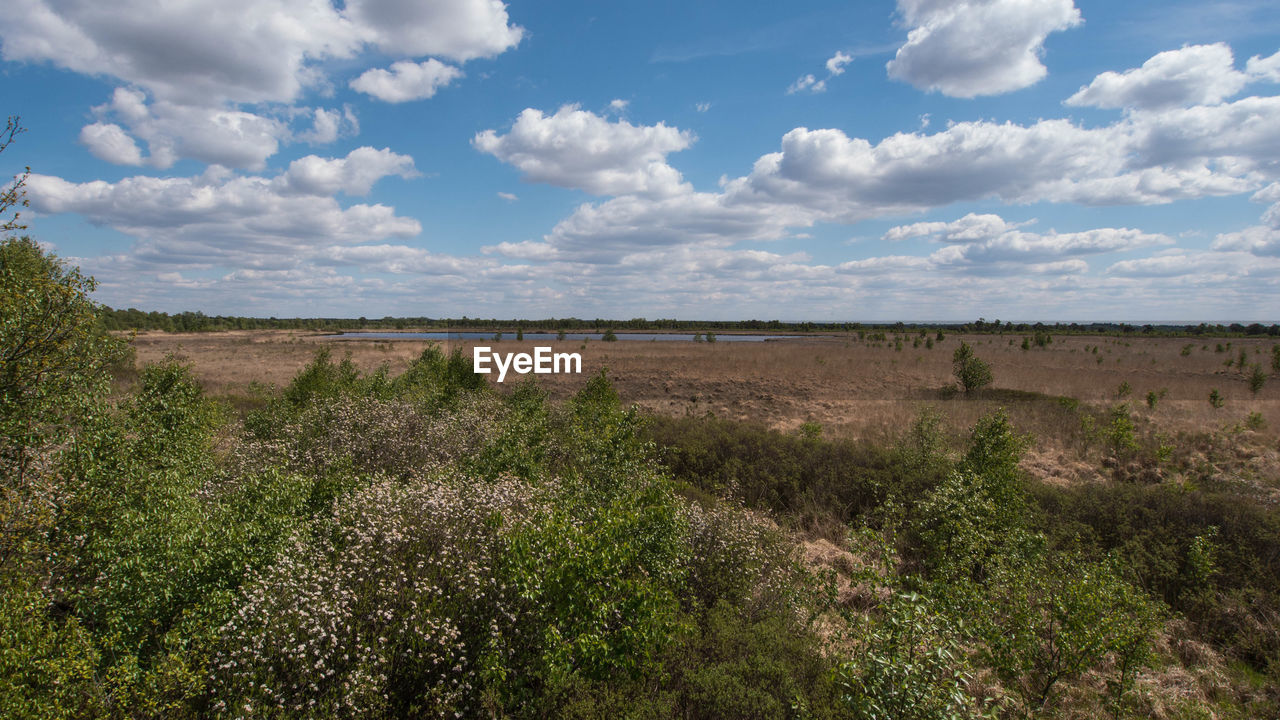 Scenic view of land against sky