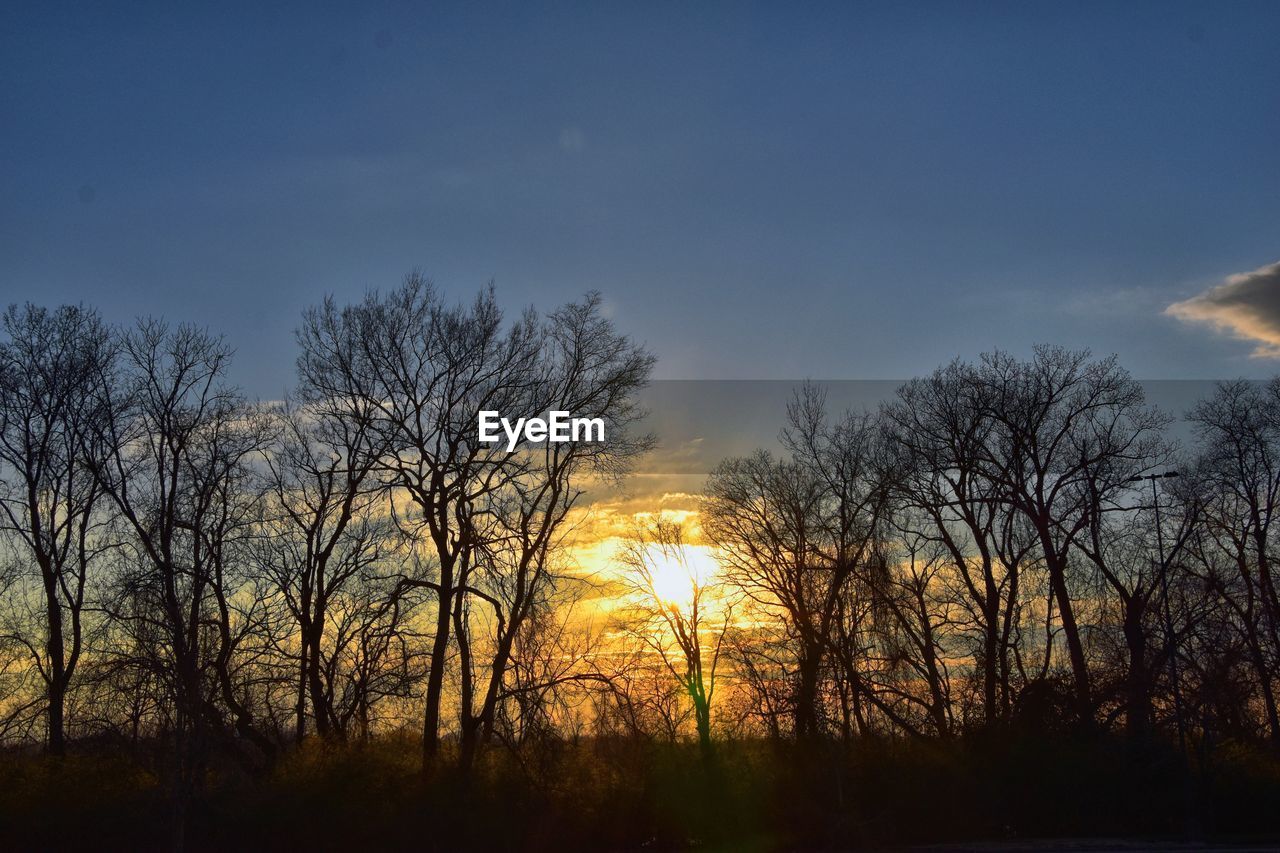 SILHOUETTE BARE TREES DURING SUNSET