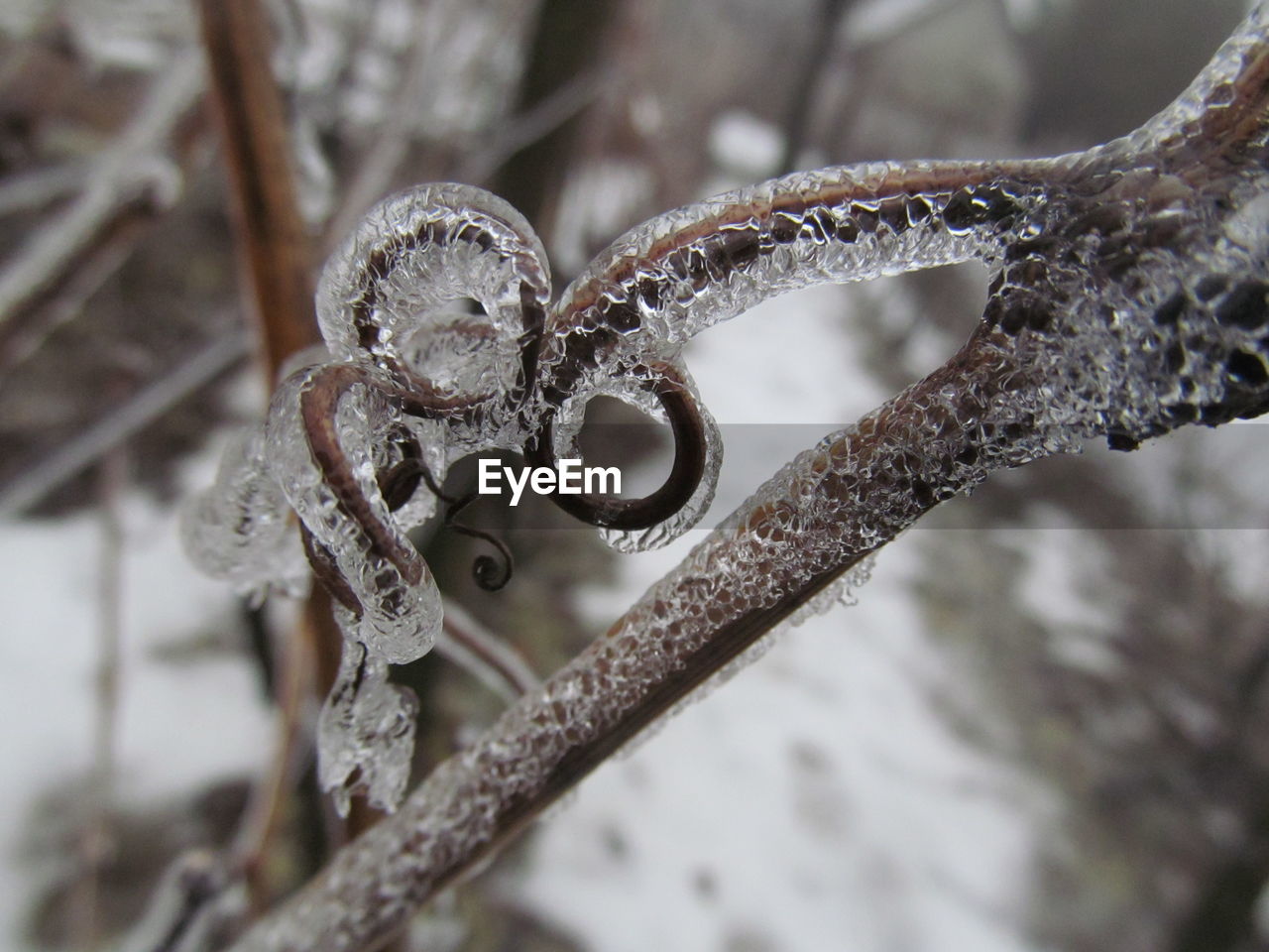 CLOSE-UP OF FROZEN METAL