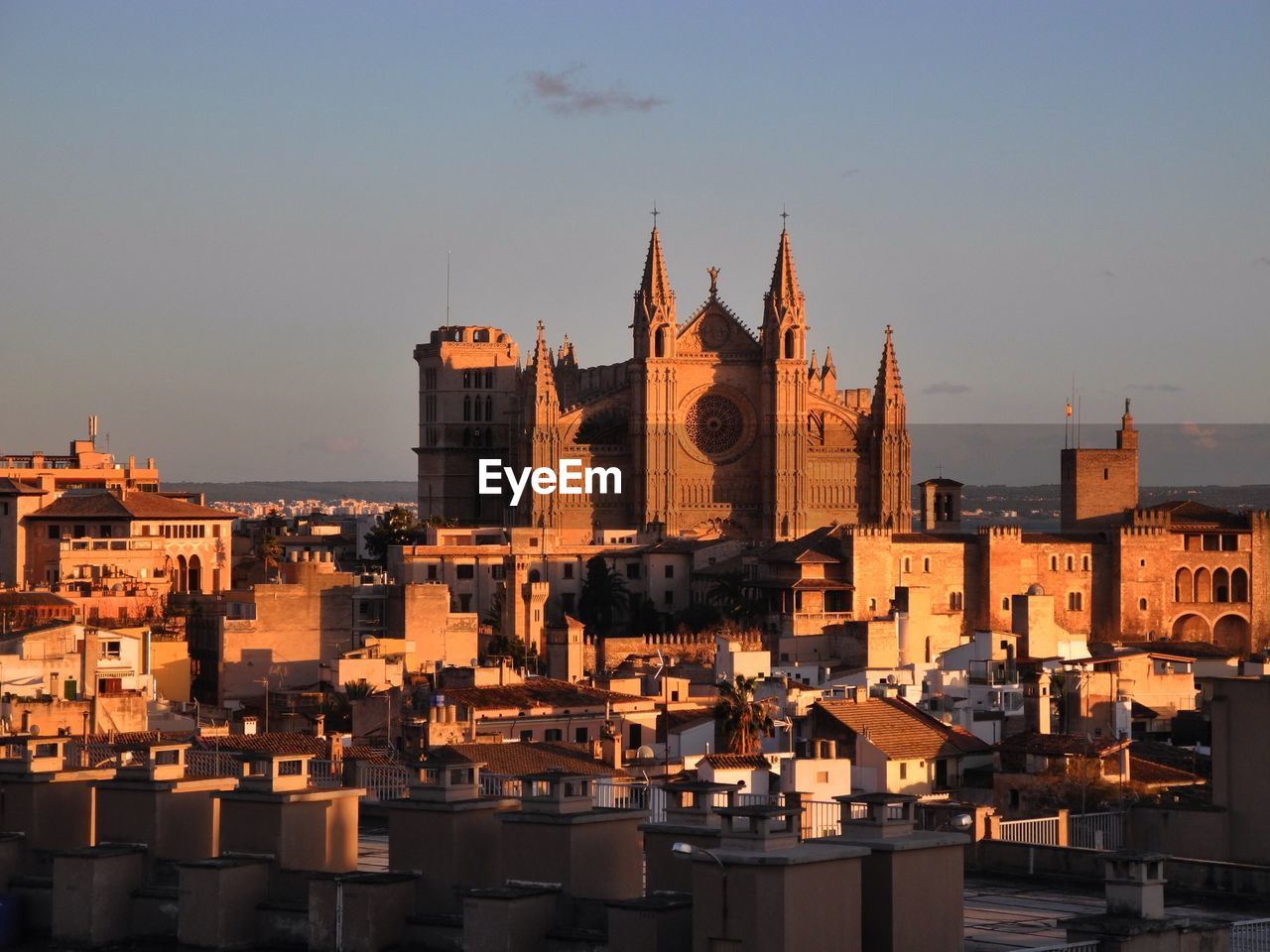 High angle view of townscape and palma cathedral