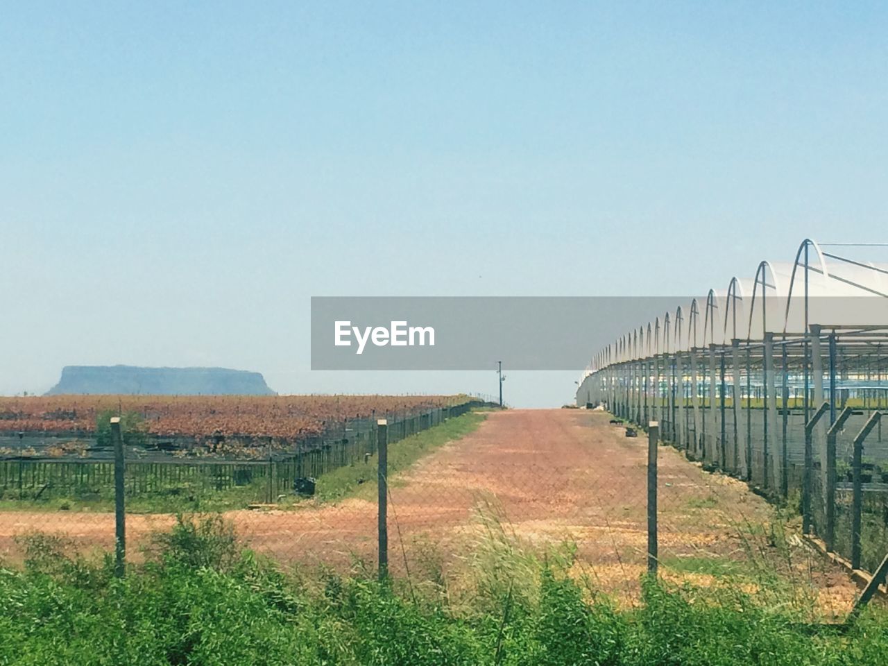 FIELD AGAINST CLEAR SKY