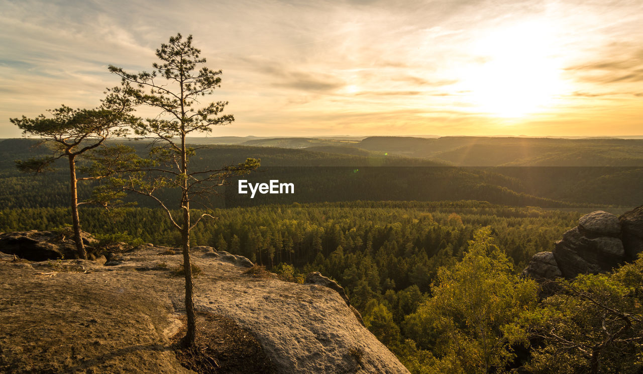 Scenic view of landscape against sky during sunset