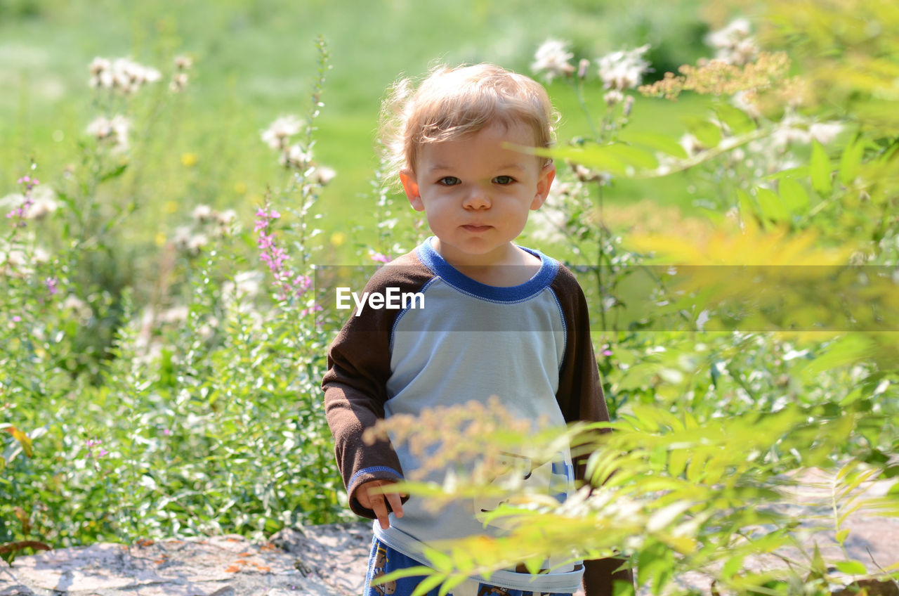 Portrait of cute boy standing amidst plants