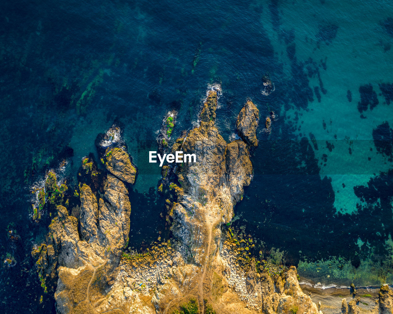 VIEW OF CORAL UNDERWATER