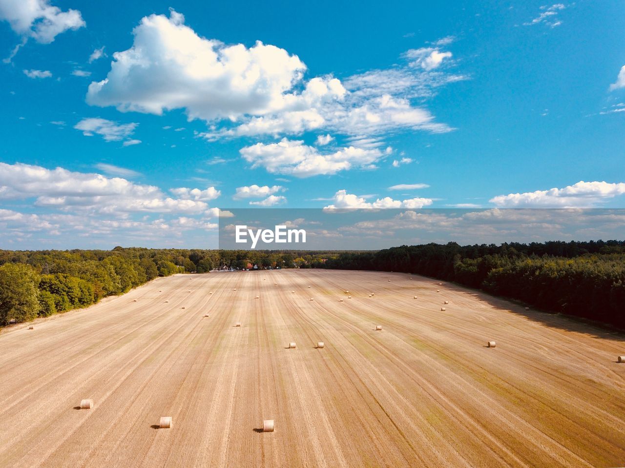 Road amidst agricultural field against sky