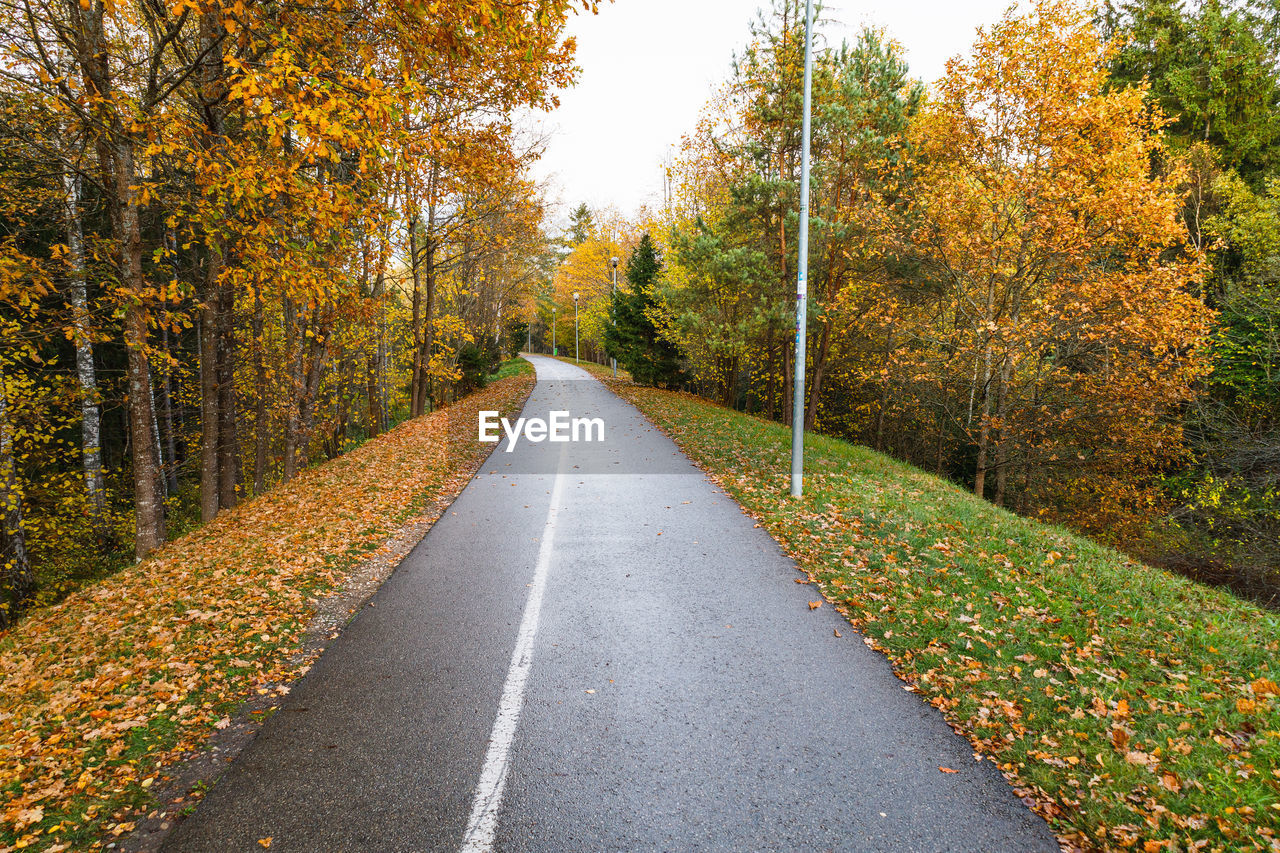 autumn, tree, plant, road, the way forward, leaf, nature, beauty in nature, transportation, lane, diminishing perspective, plant part, tranquility, scenics - nature, tranquil scene, vanishing point, no people, land, landscape, day, forest, non-urban scene, environment, idyllic, orange color, yellow, outdoors, woodland, sunlight, country road, growth, asphalt, footpath, empty road, infrastructure, autumn collection, green, sky, road surface, symbol, street, road marking, rural scene, morning, marking, remote, trail, single lane road, travel