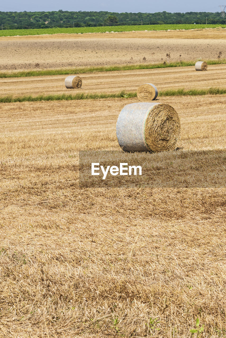 HAY BALES ON FIELD DURING FARM