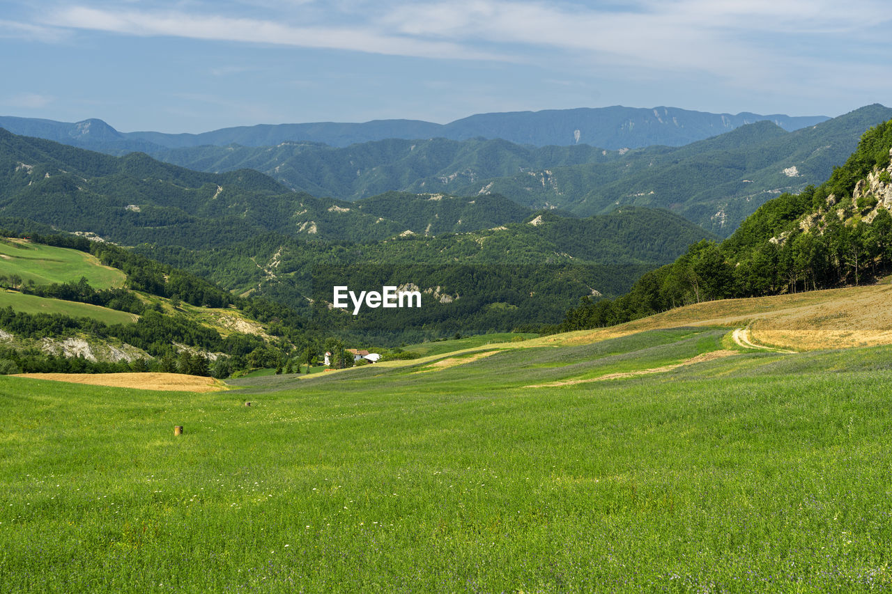 SCENIC VIEW OF GREEN LANDSCAPE AND MOUNTAINS AGAINST SKY