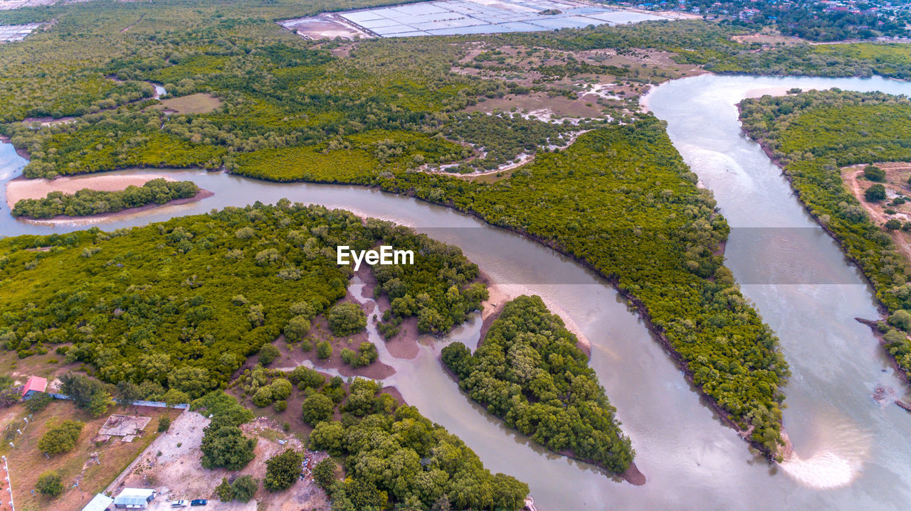 Aerial view of mangroves in dar es salaam