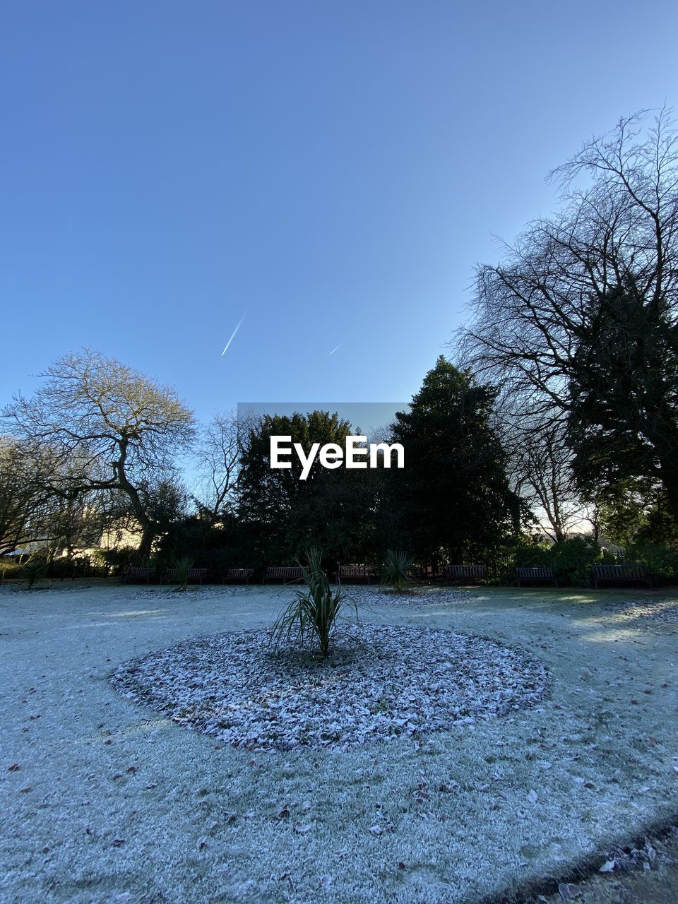 TREES ON FIELD AGAINST CLEAR SKY DURING WINTER