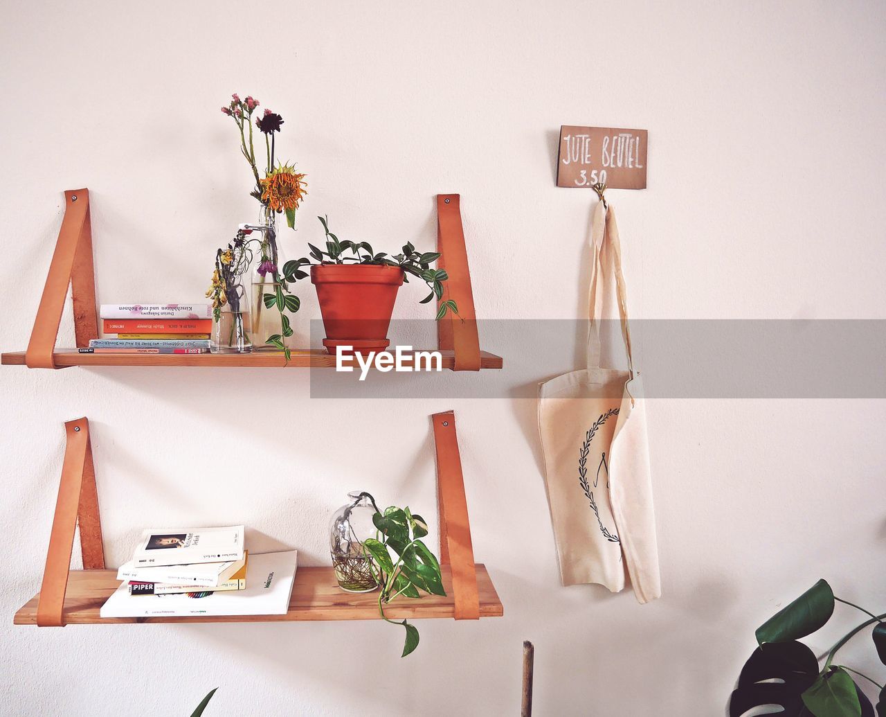 POTTED PLANTS ON TABLE