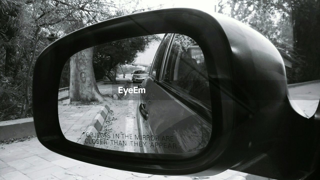 REFLECTION OF TREES ON SIDE-VIEW MIRROR