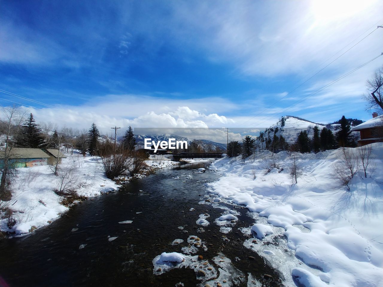 Morning walk in steamboat, co. 