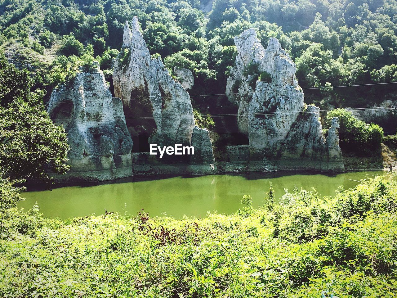 SCENIC VIEW OF TREES AND ROCK FORMATION