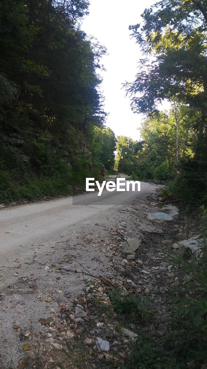 EMPTY ROAD ALONG TREES