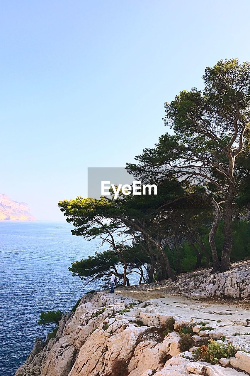 Man standing at beach against trees