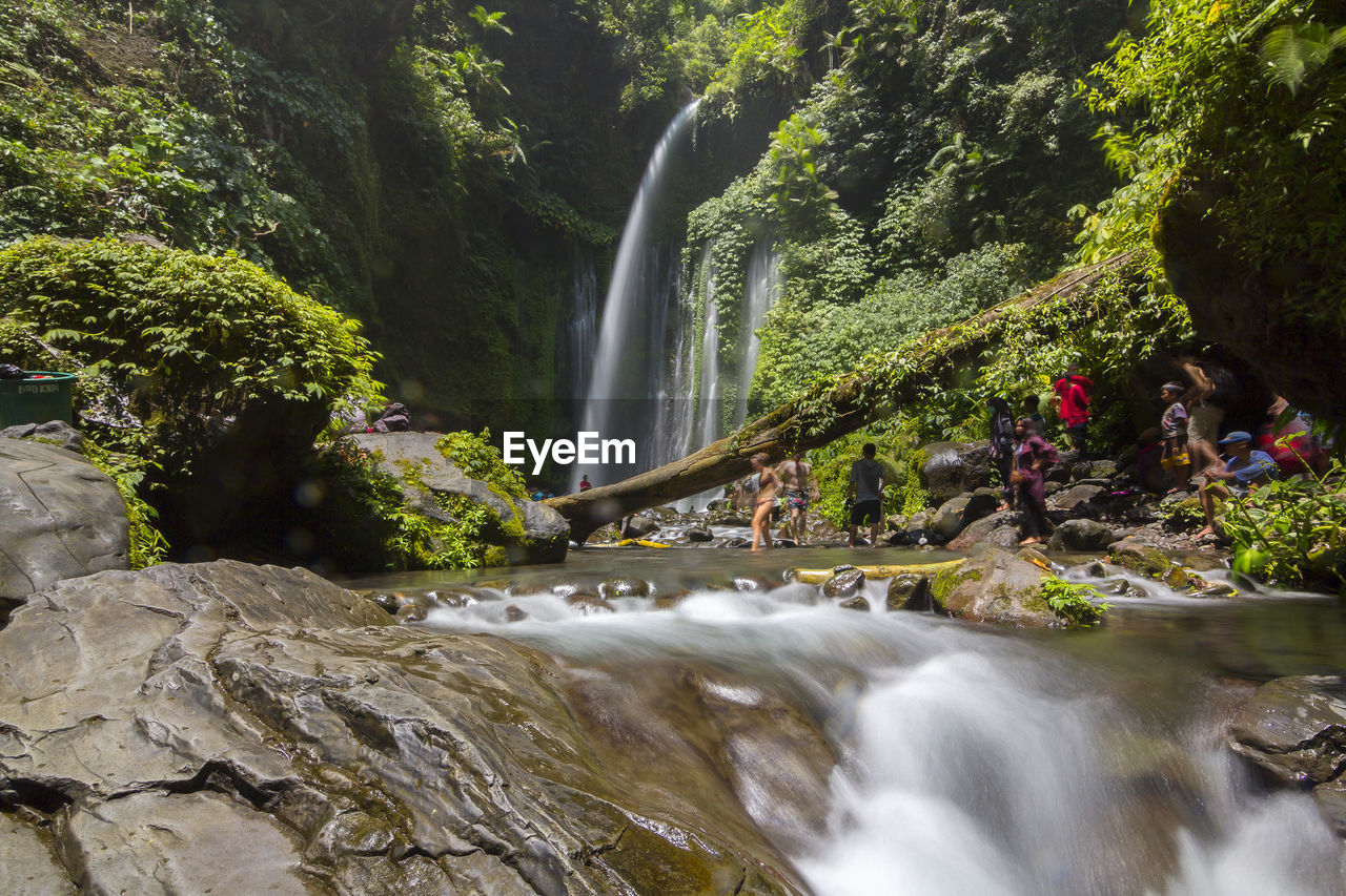 SCENIC VIEW OF WATERFALL AGAINST TREES