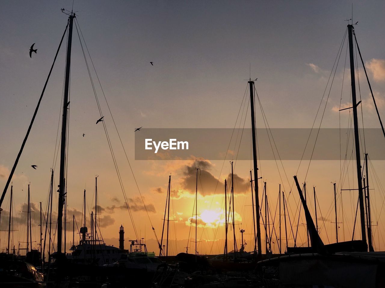 SAILBOATS IN SEA AT SUNSET