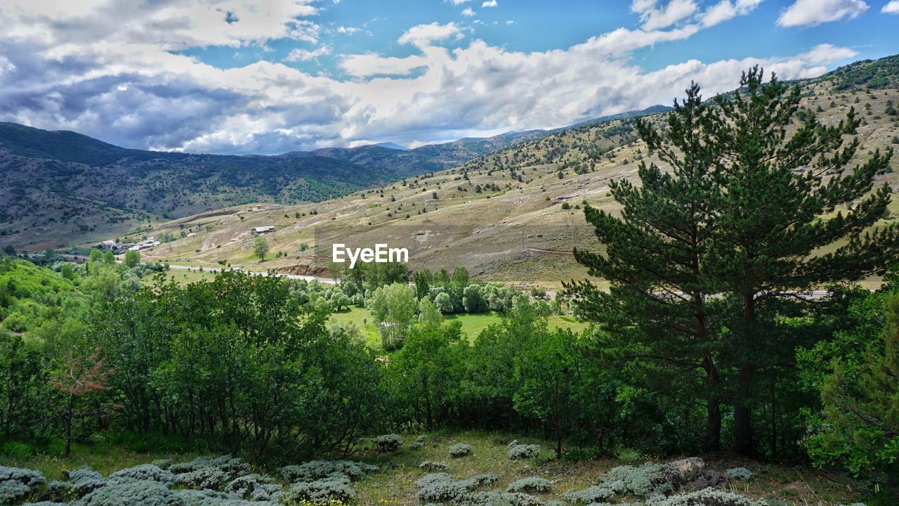 Scenic view of landscape against sky